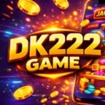 DK222 Game