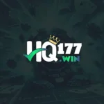 HQ177 Game